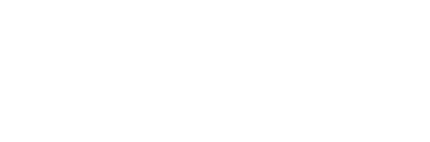 Logo BOKS International